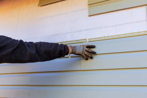 Best Siding Painting and Refinishing  in Fort Benton, MT